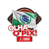 Pix Sticker by Vamos Seminovos