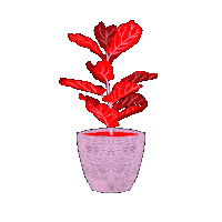 luciachierri yes girls viernes lunes Sticker