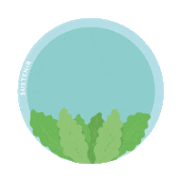 Kale Sticker by Sustenir