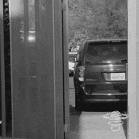 Matt Barnes Basketball GIF by SHOWTIME Sports