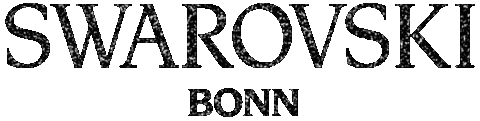 swarovskibonnessen giphyupload Sticker