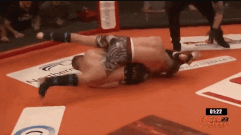 MonarchGlen17 giphyupload mma armbar GIF