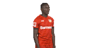 Posing Bayer 04 Sticker by Bundesliga