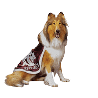 Queen Puppy Sticker by Texas A&M University
