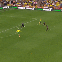 Cantwell GIF by nss sports