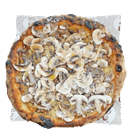 Pizza Boston Sticker by Major Food Group