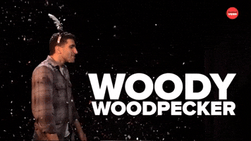 Woody Woodpecker