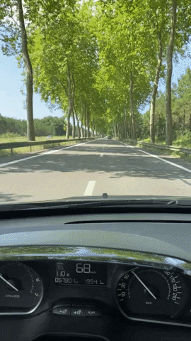 FrancoisBenard giphyupload GIF