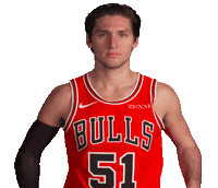 Ryan Arcidiacono Sticker by Chicago Bulls
