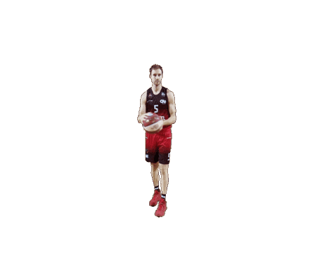 spiroucharleroi giphyupload alex 5 pass Sticker