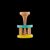 Allthingsbabyindia toys rattle brainsmith GIF