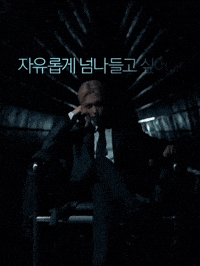 Stray Kids Skz GIF