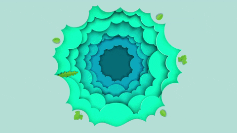 mattoniczsk giphyupload GIF