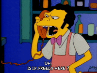 Season 1 Episode 3 GIF by The Simpsons
