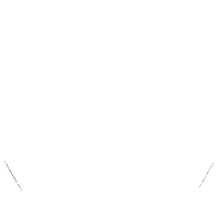 Stain-resistant icon