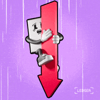 Crypto Bear GIF by Ledger