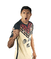 Football Sport Sticker by Club America