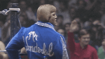 Mr Wonderful Sport GIF by WWE