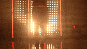 Utah Utes Softball GIF by NCAA Championships