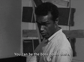 Toronto International Film Festival GIF by TIFF