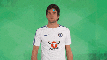 chelsea fc football GIF by Carabao UK