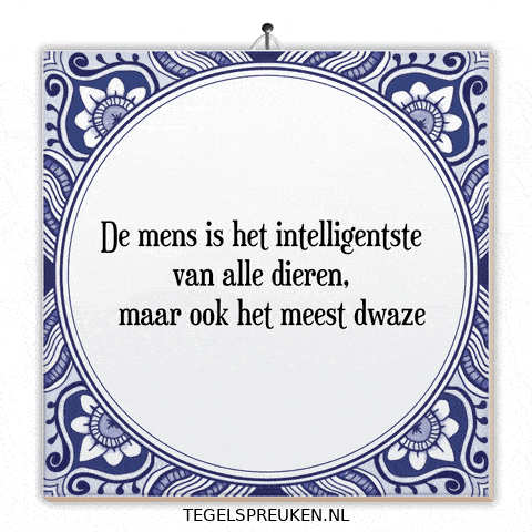 Humor Wijsheid GIF by Tegelspreuken.nl