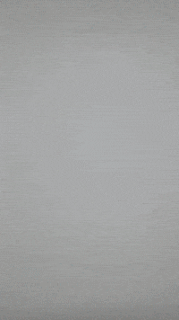 Tallyhall GIF by Youtooz