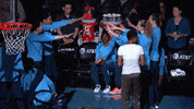 AtlantaDream happy sports basketball happy dance GIF