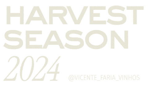 Wine Harvest Sticker by VicenteFariaVinhos