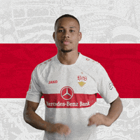 Nikolas Nartey Love GIF by VfB Stuttgart