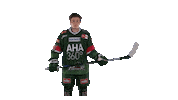 aevpanther celebration hockey jubel celly Sticker