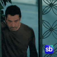 Kenan Imirzalioglu Sb GIF by Sporbulteni