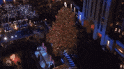 christmas tree GIF by NBC