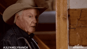 Bo Derek Guitar GIF by Hallmark Mystery