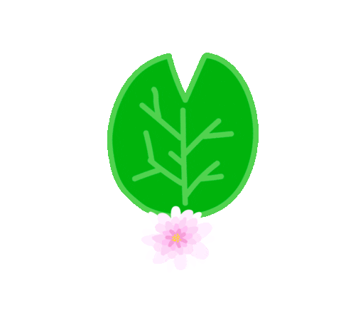 Anterie giphyupload capybara carpincho water lily Sticker