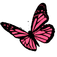 Pink Butterfly Sticker