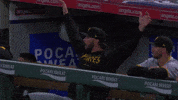 Pittsburgh Pirates Wow GIF by MLB