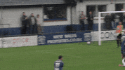 the new saints football GIF by TNSFC
