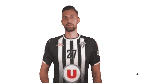 Angersscohandball Sticker by ANGERS SCO