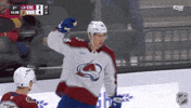 Happy Colorado Avalanche GIF by NHL