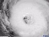 Hurricane Larry GIF by GIPHY News