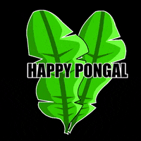 Makar Sankranti Sticker GIF