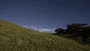 builder GIF by EchoBoom Sports