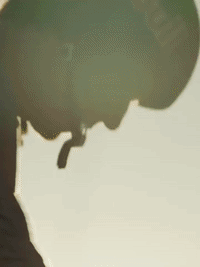 GIF by Trek México