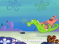 season 6 GIF by SpongeBob SquarePants
