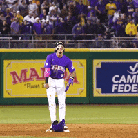 Baton Rouge Celebration GIF by LSU Tigers