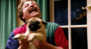 zach galifianakis laughing GIF