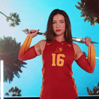 Fighton GIF by USC Trojans