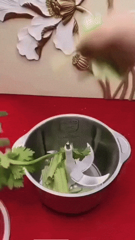 marianaxecheverri giphyupload GIF