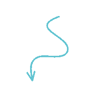 Vienna Wvp Sticker by Wiener Volkspartei